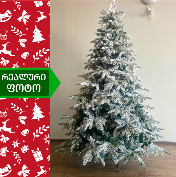 ნაძვის ხე სტოკჰოლმი 240სმ (KK-240)