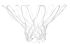 კალათბურთის ფარის ბადე AVENTO 47NA white