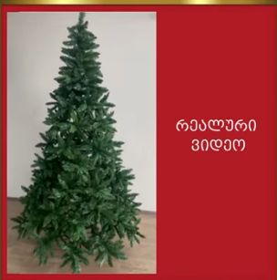 ნაძვის ხე ლონდონი 120 სმ (CC-120)